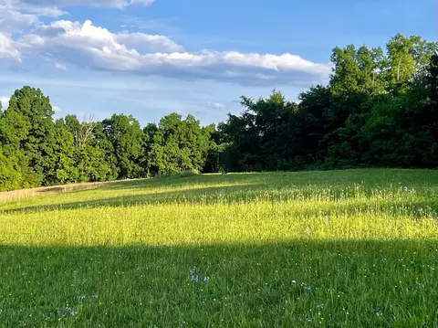 4045 S Mohawk Rd, Mohawk, TN 37810 photo 71