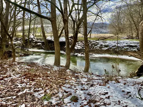 4045 S Mohawk Rd, Mohawk, TN 37810 photo 86