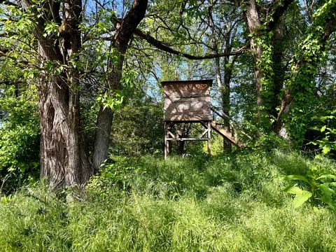 4045 S Mohawk Rd, Mohawk, TN 37810 photo 32