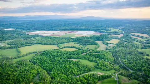 4045 S Mohawk Rd, Mohawk, TN 37810 photo 48