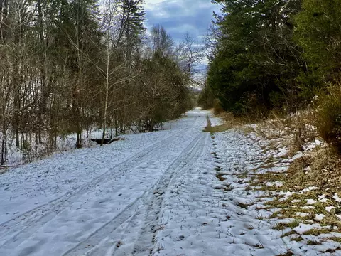 4045 S Mohawk Rd, Mohawk, TN 37810 photo 74