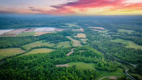 4045 S Mohawk Rd, Mohawk, TN 37810 photo 10