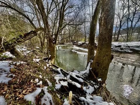 4045 S Mohawk Rd, Mohawk, TN 37810 photo 85