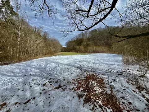 4045 S Mohawk Rd, Mohawk, TN 37810 photo 83