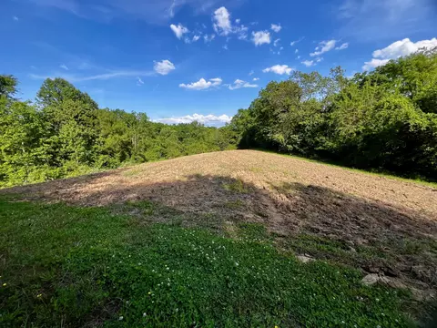 4045 S Mohawk Rd, Mohawk, TN 37810 photo 68