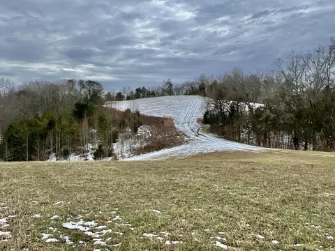 4045 S Mohawk Rd, Mohawk, TN 37810 photo 126
