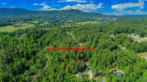1413 Timber Trl, Newport, TN 37821