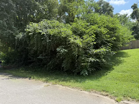 tbd Rambling Rd, Morristown, TN 37814