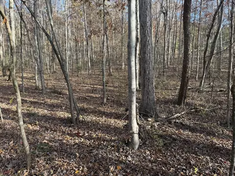 lot40 Hummingbird Ln, Newport, TN 37821