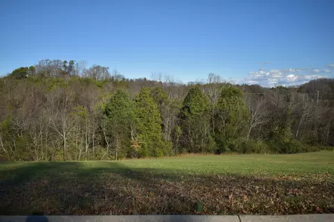 lot4 Constitution Dr, Dandridge, TN 37725