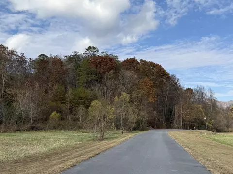 0 Bear Track Way, Del Rio, TN 37727
