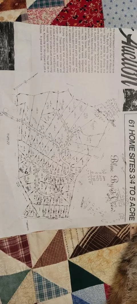 lot6 Blue Byrd, Kodak, TN 37764