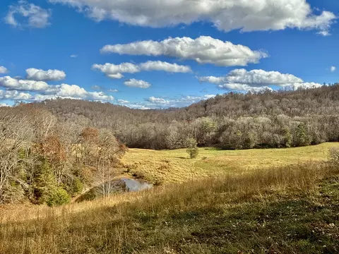 1520 Brittontown Rd, Afton, TN 37616