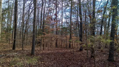 Tract 4 Armstrong Drive, Dandridge, TN 37725