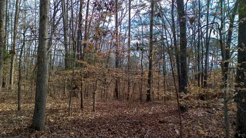 Tract 5 Armstrong Drive, Dandridge, TN 37725