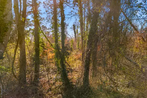 tbd Evans Ln, Dandridge, TN 37725 photo 14