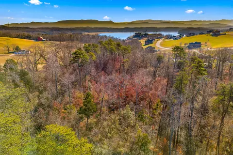 tbd Evans Ln, Dandridge, TN 37725 photo 12