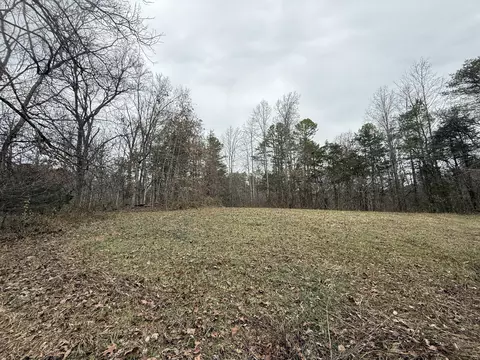 O Off Allen Chapel Road, Parrottsville, TN 37843