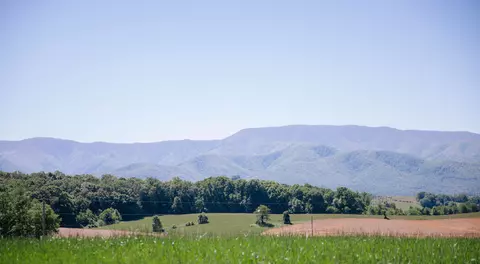0 Tennessee 107, Chuckey, TN 37641