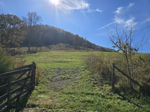 2391 Hogskin Rd, Washburn, TN 37888