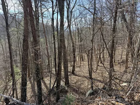lot2021 Linwood Ct, Sevierville, TN 37876