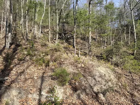 lot15 Linwood Ct, Sevierville, TN 37876