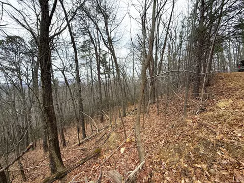 1 01 Ac Green Forest Rd, Cosby, TN 37722