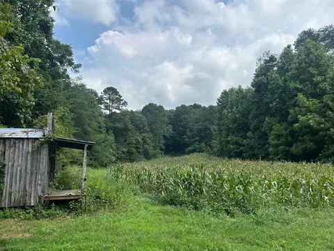 Tract 17 Pleasant View Cemetery Road, New Market, TN 37820