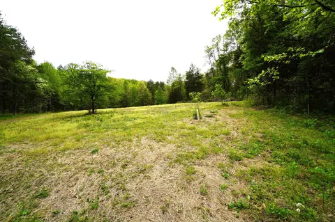 Tract 19 Pleasant View Cemetery Road, New Market, TN 37820