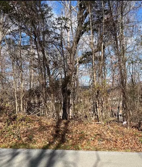 0 Crosby Lot 10 Dr, Bean Station, TN 37708