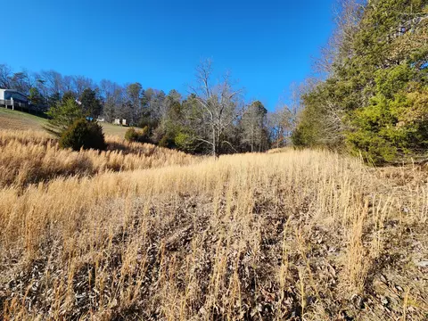 00 Glades Rd, Mohawk, TN 37810