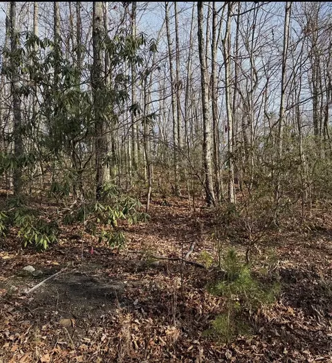 3 Swann Saddle, Sevierville, TN 37876