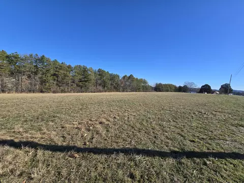 lot4 Peninsula Pointe Dr, Rutledge, TN 37861
