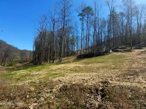 lot19 22 Demory Rd, La Follette, TN 37766