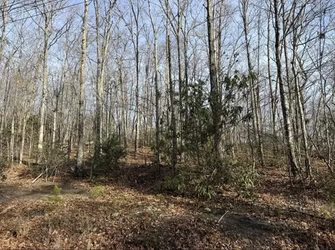 56 Swann Saddle, Sevierville, TN 37876