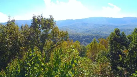 301 Matterhorn Dr, Gatlinburg, TN 37738
