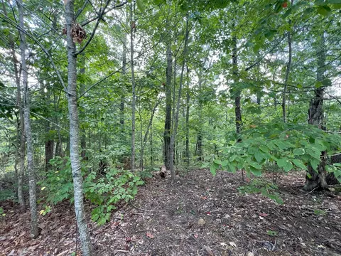lot14 Bayside Blvd, Bean Station, TN 37708