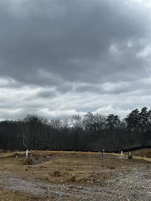 6160 Sycamore Stream Rd, Dandridge, TN 37725