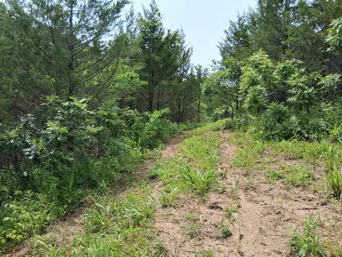 240 Buford Rd, Bybee, TN 37713 photo 4