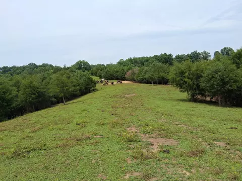 240 Buford Rd, Bybee, TN 37713 photo 7
