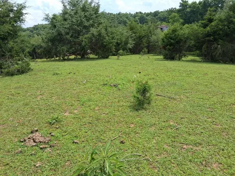 240 Buford Rd, Bybee, TN 37713 photo 6