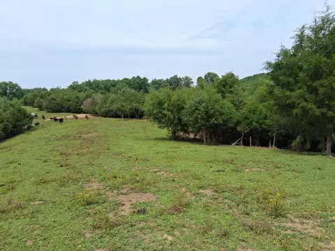 240 Buford Rd, Bybee, TN 37713 photo 9