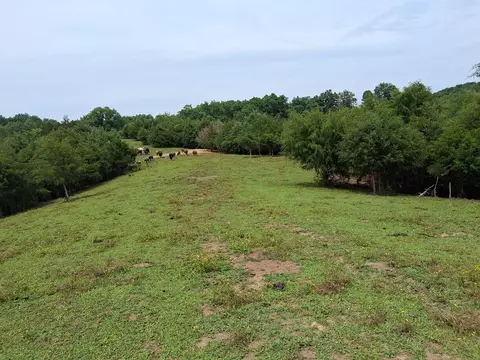 240 Buford Rd, Bybee, TN 37713 photo 8