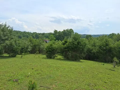 240 Buford Rd, Bybee, TN 37713 photo 5