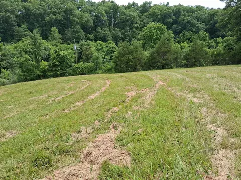 240 Buford Rd, Bybee, TN 37713 photo 11