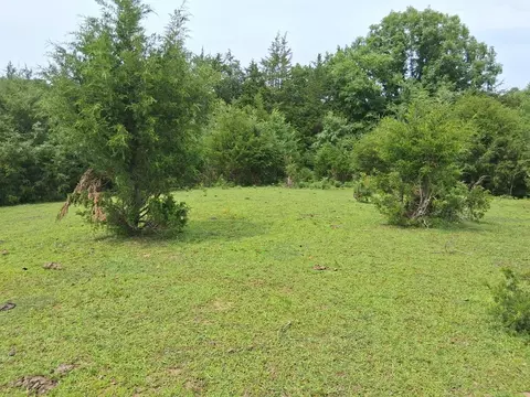 240 Buford Rd, Bybee, TN 37713 photo 2