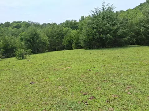 240 Buford Rd, Bybee, TN 37713 photo 3