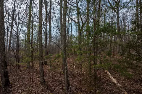 0 Paint Rock Valley Off Rd, Philadelphia, TN 37846