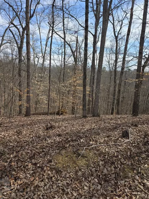 lot937 Stoneway Ct, Baneberry, TN 37890