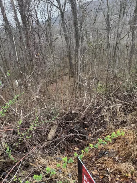 lot65 Grand View Way, Cosby, TN 37722